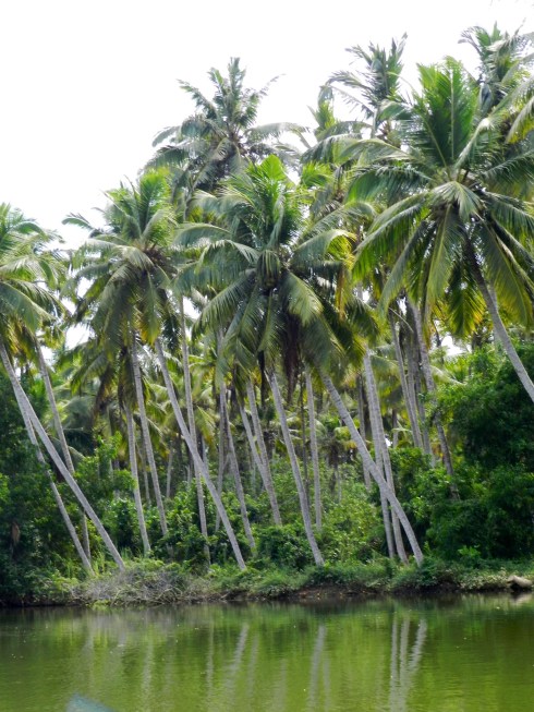 Backwatertour, Kerala