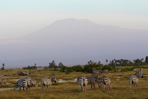 The Kilimanjaro