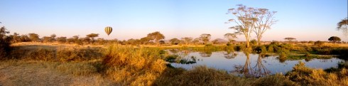 Serengeti Park - Tanzania